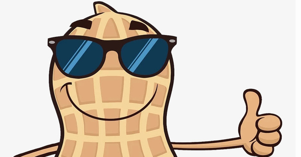 青岛市花生进出口行业协会 官网上线啦